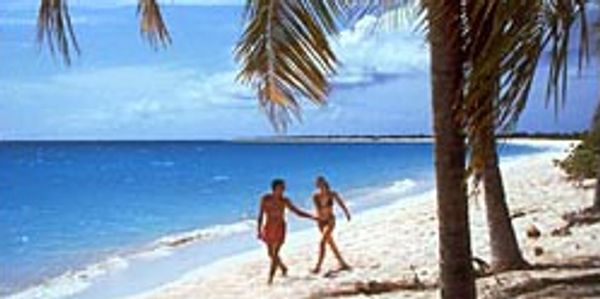 Guests strolling along a tropical beach